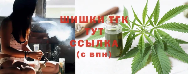 твердый Дмитров