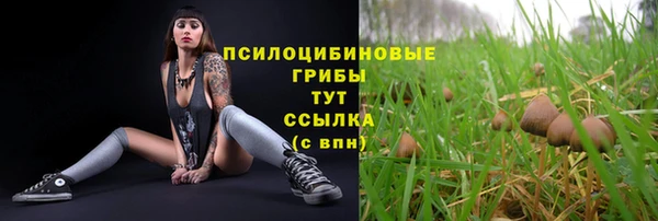 синтетический гашиш Арсеньев