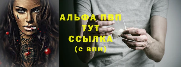 СК Аркадак
