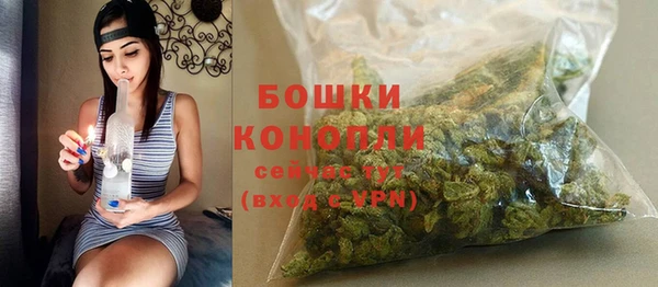 СК Аркадак
