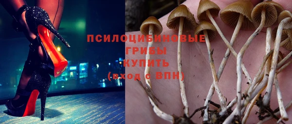 СК Аркадак