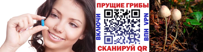 Псилоцибиновые грибы прущие грибы Саки
